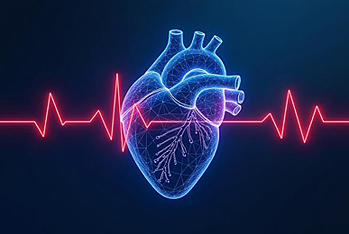 The IPCA Echo Forum Experience 